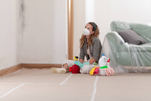 Reliable Black Mold Removal contractor in West New York, NJ by WQB Mold Removal